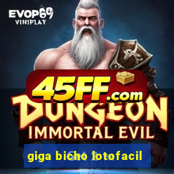giga bicho lotofacil